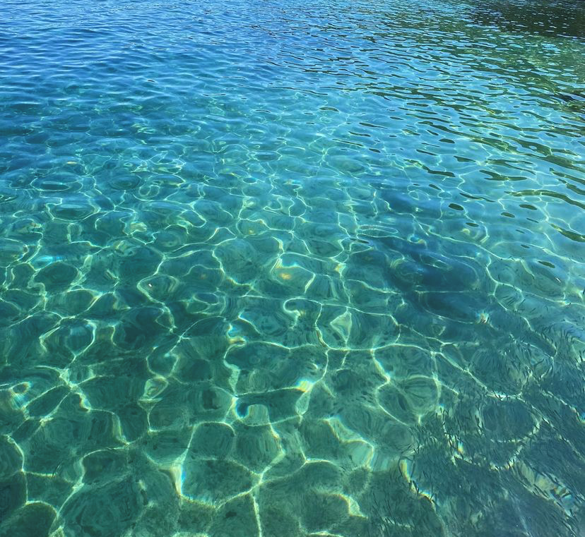 Petit plouf en baie de #CannesLérins... en cette journée mondiale du #BienÊtre 🐠🐟

📸 @lauviaje 

#CotedAzurFrance