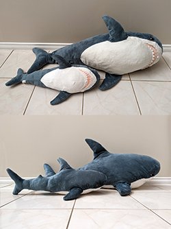 Stop sending Shark plushies to our embassy!!!!