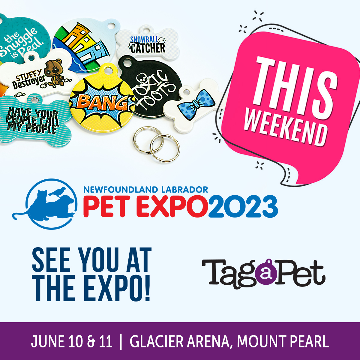 Tag a Pet (@tagapetnl) on Twitter photo We are getting excited now!! The <a href="/NLpetexpo/">NL Pet Expo</a> opens tomorrow and runs from 10-5 on Sat & Sunday at the Mount Pearl Glacier. Proud to be a Gold Sponsor of the NL Pet Expo again this year! Come by and visit all the great vendors. In support of <a href="/BeaglePaws/">Beagle Paws Rescue</a> #nlpetexpo #nlbusiness #yyt We are getting excited now!! The <a href="/NLpetexpo/">NL Pet Expo</a> opens tomorrow and runs from 10-5 on Sat & Sunday at the Mount Pearl Glacier. Proud to be a Gold Sponsor of the NL Pet Expo again this year! Come by and visit all the great vendors. In support of <a href="/BeaglePaws/">Beagle Paws Rescue</a> #nlpetexpo #nlbusiness #yyt