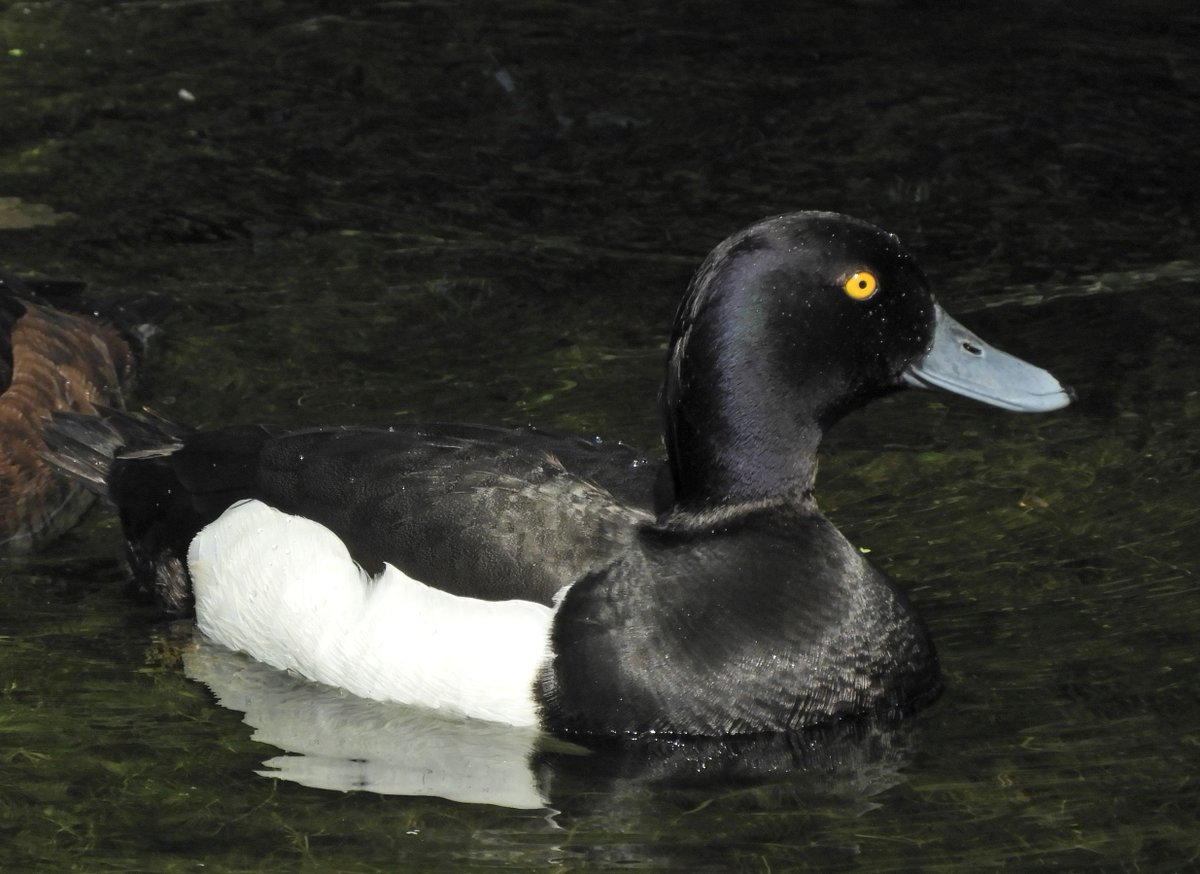 Phil Bull tweet media