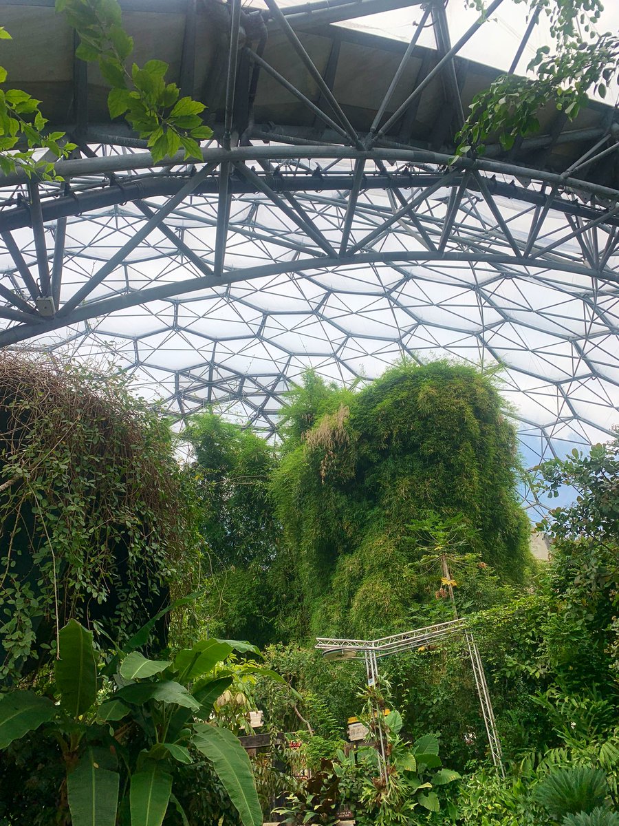 satpav's tweet photo. The @EdenProject is as fun at 32 as it was when I was 12!

Plants, trees, the world around us is so mesmerising - hopefully places like this keep inspiring people to work to save it. 

🌲🌳🌴🌱🌿☘️ https://t.co/8JJASirkwA