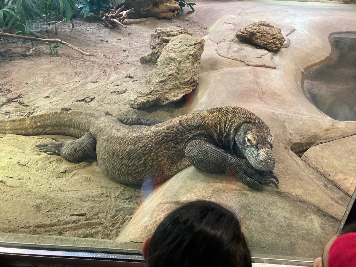 Lisa Bain tweet media