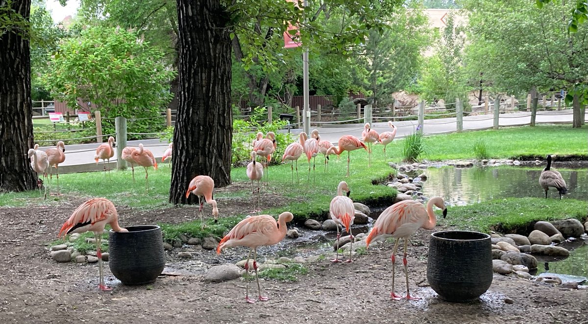 Lisa Bain tweet media