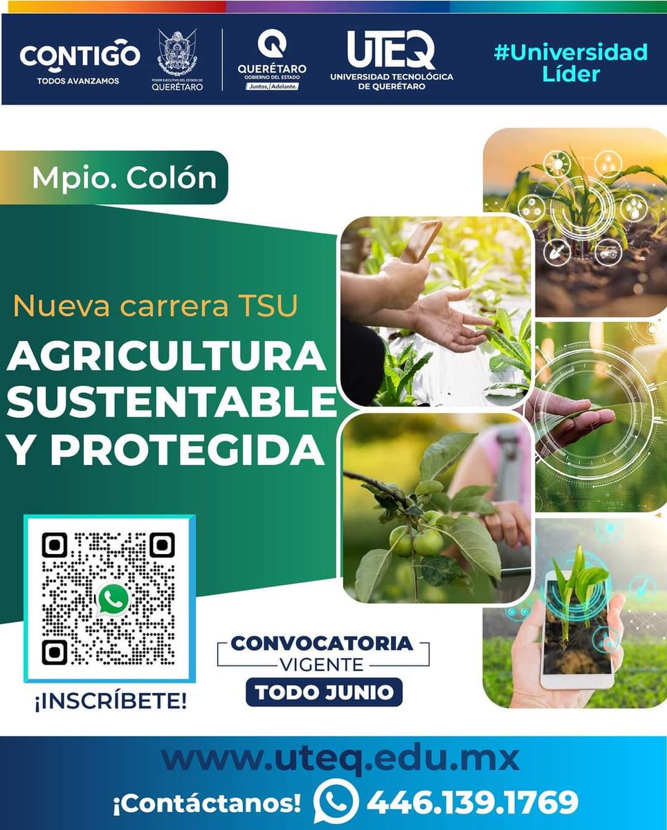 Manuel Montes (@mmanuelmontesh) on Twitter photo 