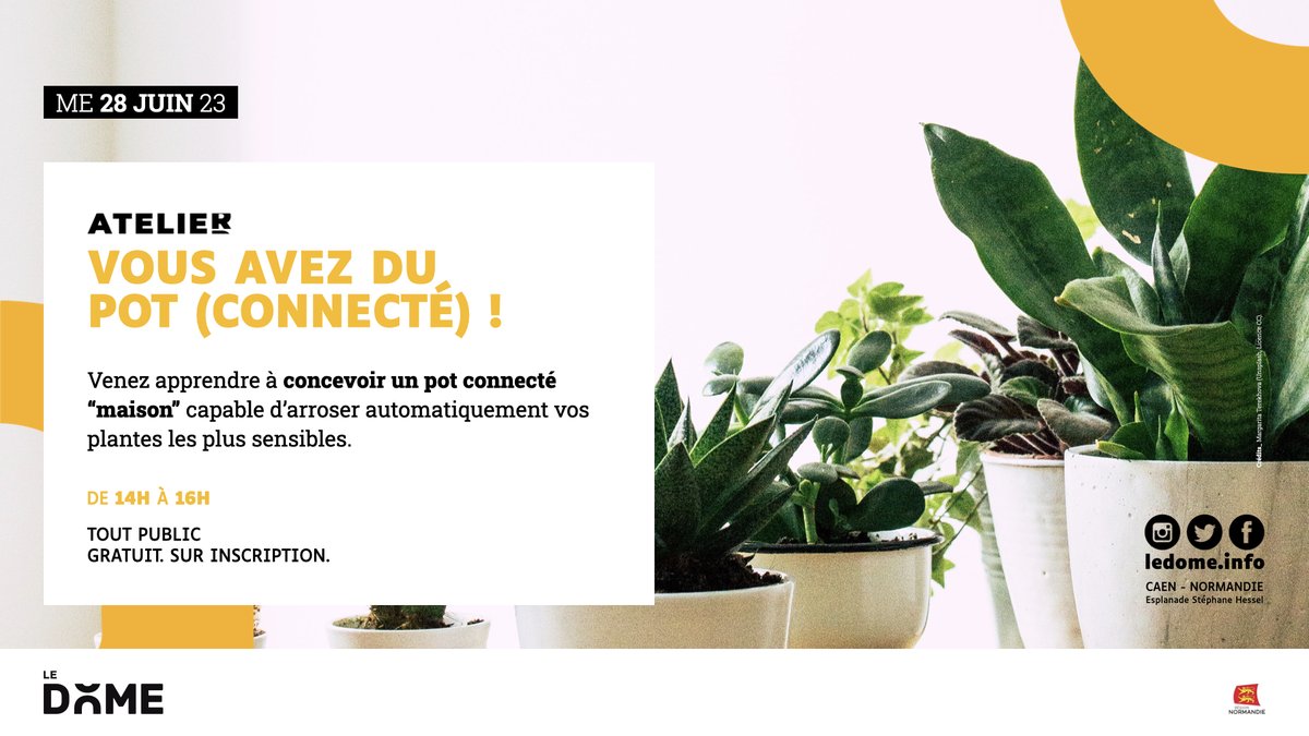_LeDome's tweet photo. #Mainverte 🪴 · Vous aimeriez avoir des #plantes mais vous vous absentez souvent ou bien vous oubliez simplement de les arroser ? Rendez-vous mercredi 28 juin, de 14h à 16h pour apprendre à faire un pot #connecté ! ▶️ https://t.co/9ss2aIL1V9 https://t.co/K569jC28kb