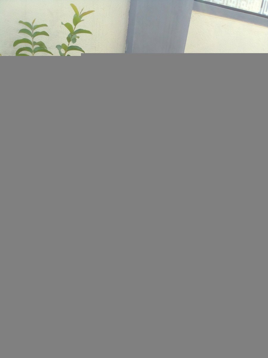 Emily Phillip (@phill1175emily) on Twitter photo 