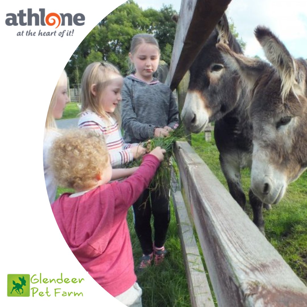 Hidden Gem: Located just outside Athlone, Glendeer Pet Farm is the perfect place for a family day out. Explore the farm, meet the friendly animals, and enjoy a picnic surrounded by nature. A day of fun awaits! athlone.ie/thngs_to_do/gl… #PetFarm #FamilyDayOut #AnimalEncounters