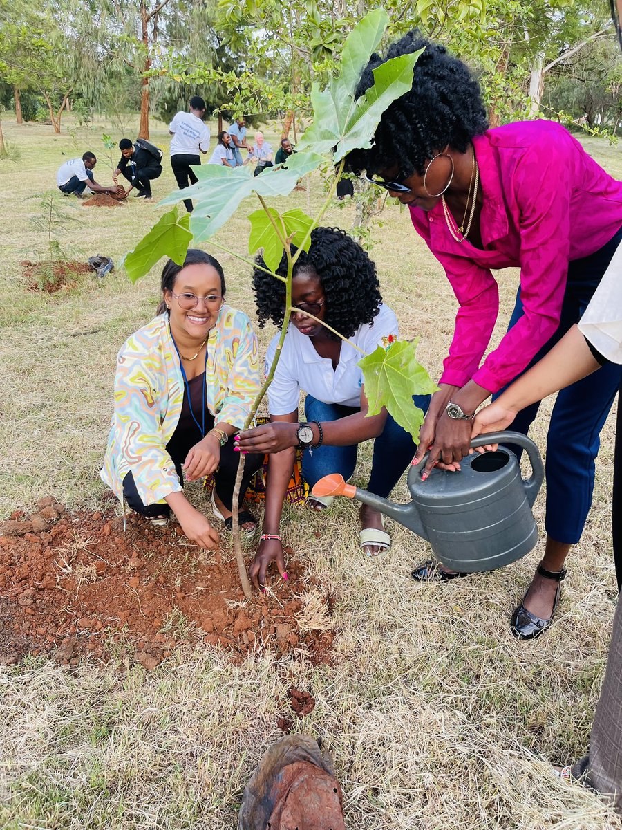 As we still celebrate #EnvironmentDay2023, Today we carried out a tree planting activity. Going Green now for the future we want🪴
What are you doing for your Environment?