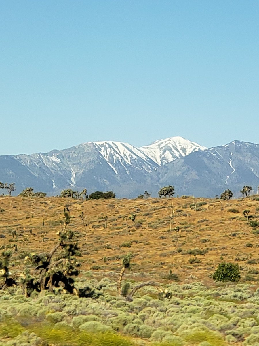 I don't know much about climate change, but we still have snow in the local mountains in June!