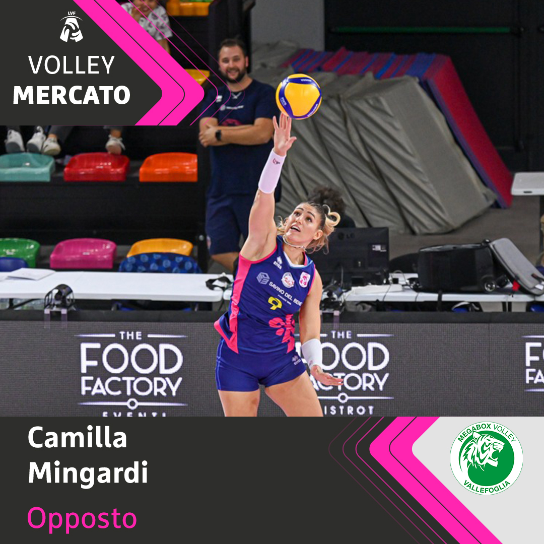 MINGARDI A VALLEFOGLIA! 

Per la prossima stagione di #SerieA1 la <a href="/MegaboxV/">Megabox Volley</a>  potrà fare affidarsi alla potenza dell'opposto Camilla #Mingardi ! 

 Resta aggiornato sul #VolleyMercato di Serie A1 👉 bit.ly/VolleyMercato_…