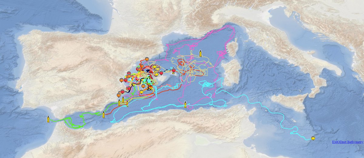 socib_icts's tweet photo. 1/2🌊 Sail and dive into the 52 active Lagrangian platforms deployed by #SOCIB in the #MedSea:
🔹 3 surface #drifters #FaSt_SWOT
🔹10 near-surface drifters #GlobalDrifterProgram
🔹9 #Argofloats as part of @EuroArgoERIC
🗺️Follow #RealTime data➡️https://t.co/1Un4hP4bI1
#ICTSNews
👇🏽 https://t.co/aU05ZhDpAM