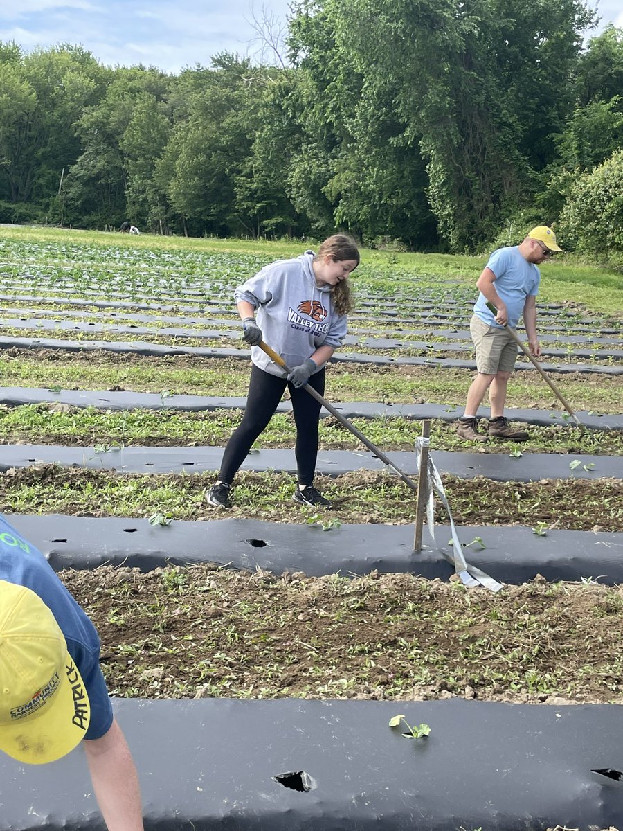 Bvt Stuco tweet media