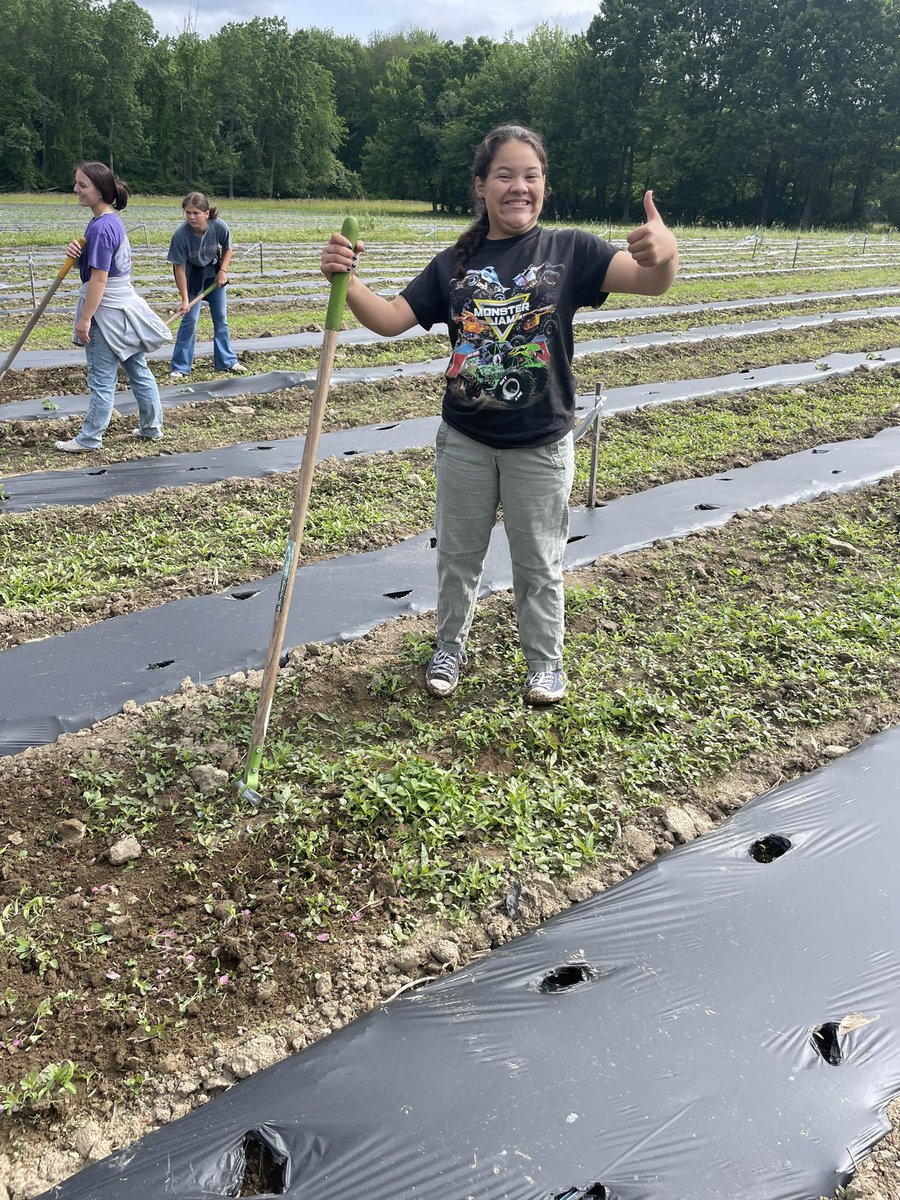 Bvt Stuco tweet media