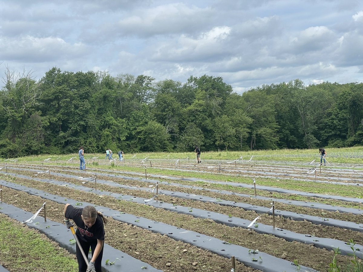 Bvt Stuco tweet media