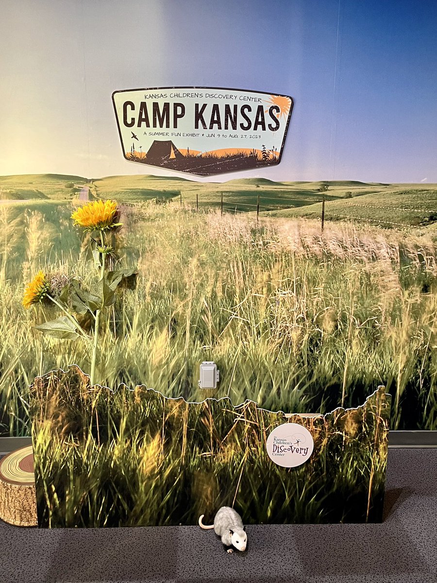 Fred Patton tweet media