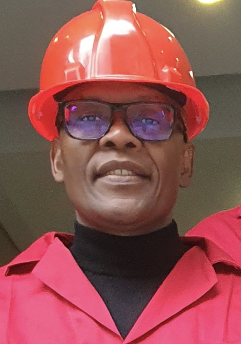 Mzwanele Manyi MP tweet media