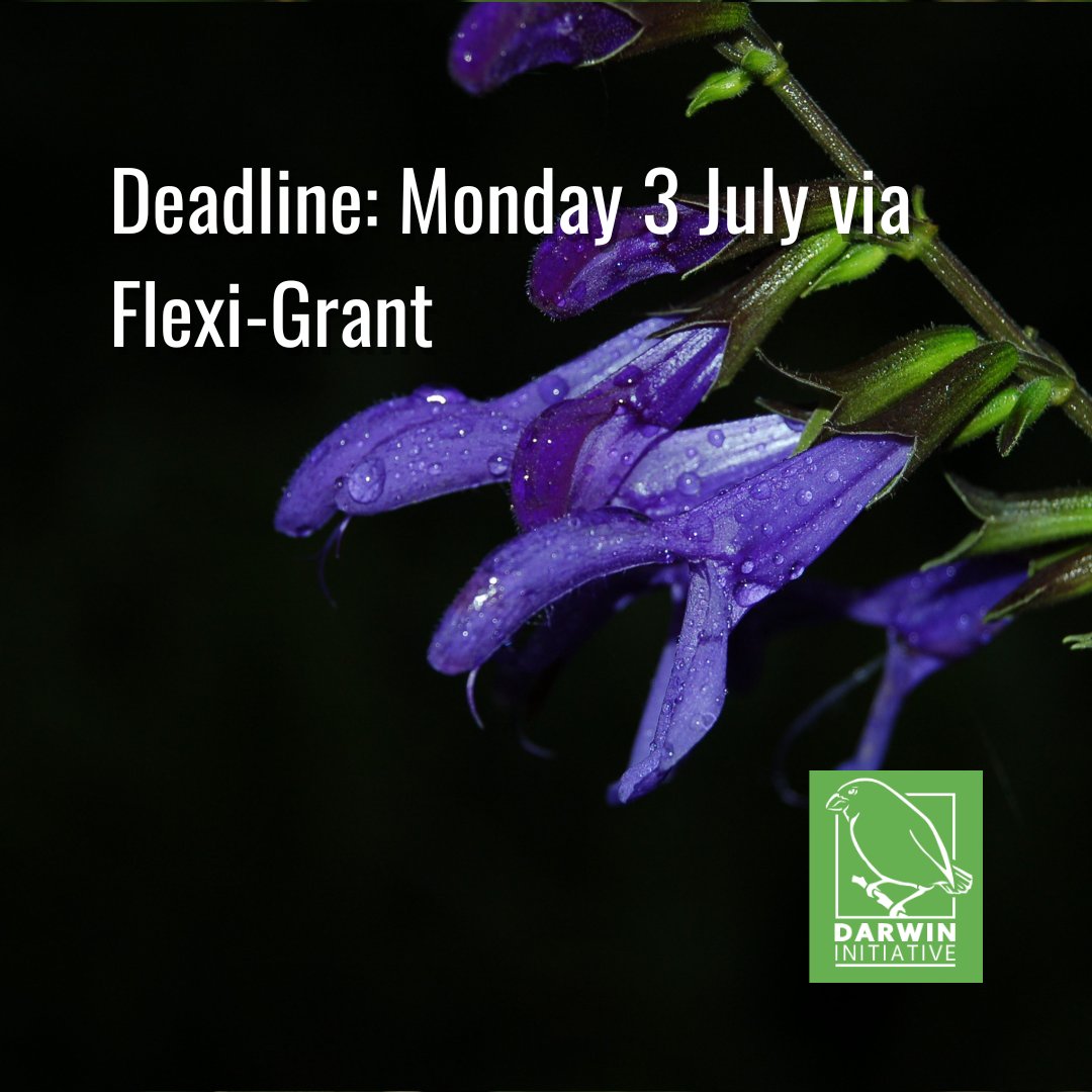 Do you have an idea for a project based on good evidence, that could deliver strong results for #biodiversity #conservation and poverty reduction?

Great news – our #DarwinInitiative #Main scheme is open til Monday 3 July📅

Apply! darwininitiative.org.uk/apply/

@DefraGovUK