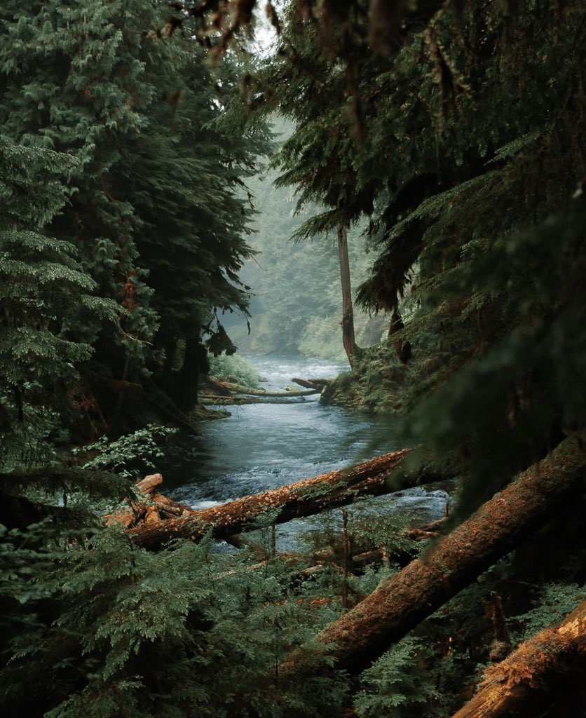 Explore Awesome Places! tweet media