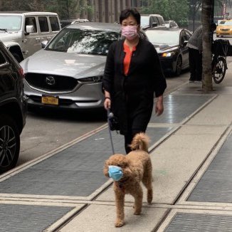 It’s wonderful to see New Yorkers caring for their loved ones during the climate meltdown #ClimateCult #ClimateCrisis #AirQualityAlert