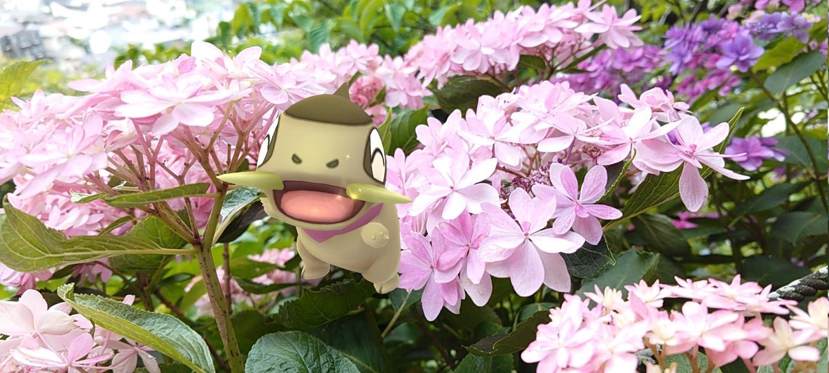 uuuuuone1's tweet photo. 6月10日
No.610 主役を祝福して🎉
#ARofTheDay #NofilterARFriday
#R5アジサイAR写真展
#GOsnapshot #NianticAR
#PokemonGO #キバゴ
#PokemonGOCommunityDay
#ARofthecommunityday
#長谷寺 #キバゴの日
#Axewday https://t.co/9YRfoYFx9U