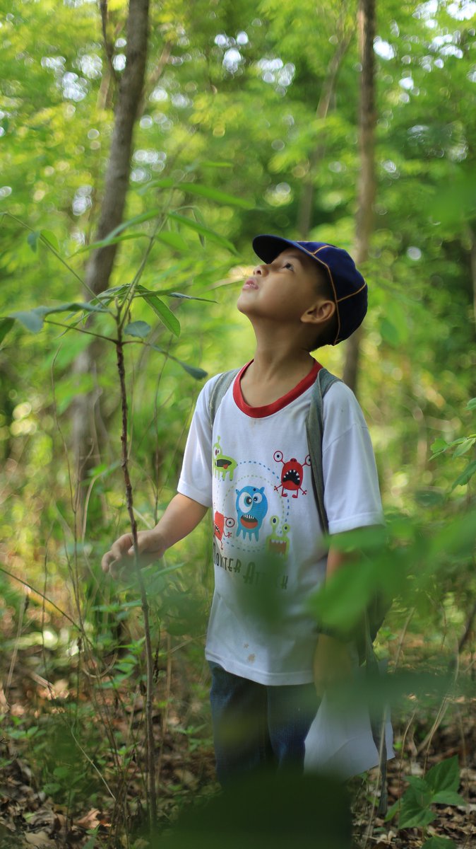 HopkinsCommEd's tweet photo. Discover what it means to be a naturalist-in-training and explore what native habitats exist within our community. "Jr. Budding Naturalist" is a Camp Royal Week Two camp for grades K-2 that will begin on June 20th.

Register here: https://t.co/Sqj5rmmnEA https://t.co/RET68u4Rbq