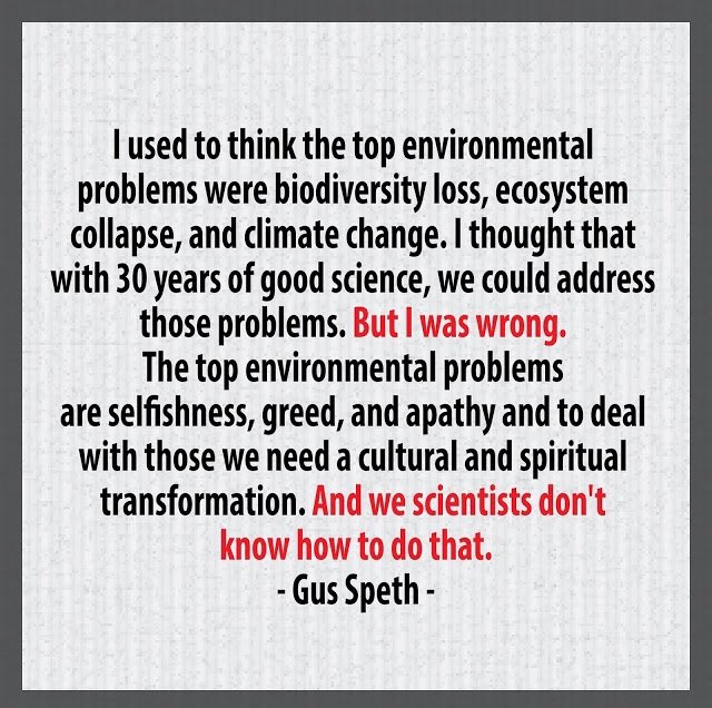 Hallucinating Pluto tweet media