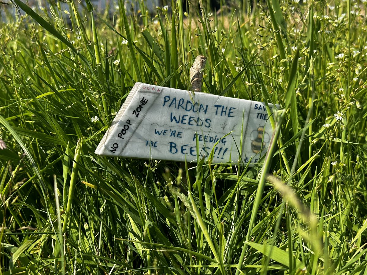 MWhile_photos's tweet photo. @BBCSpringwatch @LGSpace forgot to include sign in previous tweet #savethebees https://t.co/nNkw4qzrqh