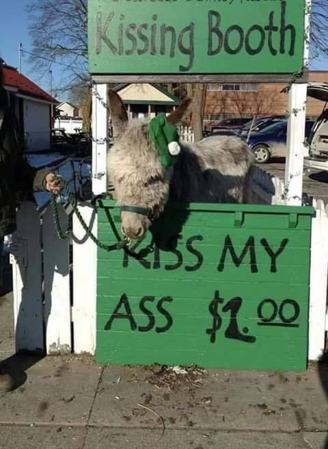 Hallucinating Pluto tweet media