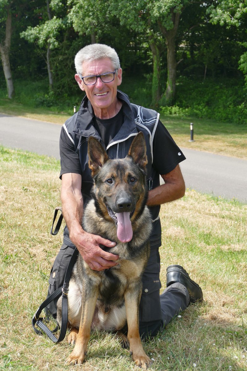 DC_Police Dogs ( Puppy Development Program) tweet media