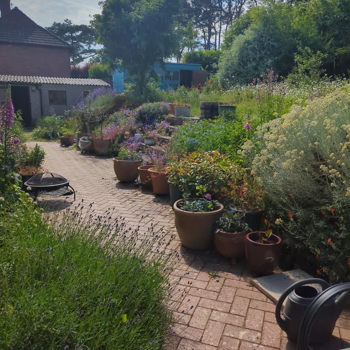 Ruth Hayes 🌱🇺🇦🇵🇸🇪🇺 tweet media