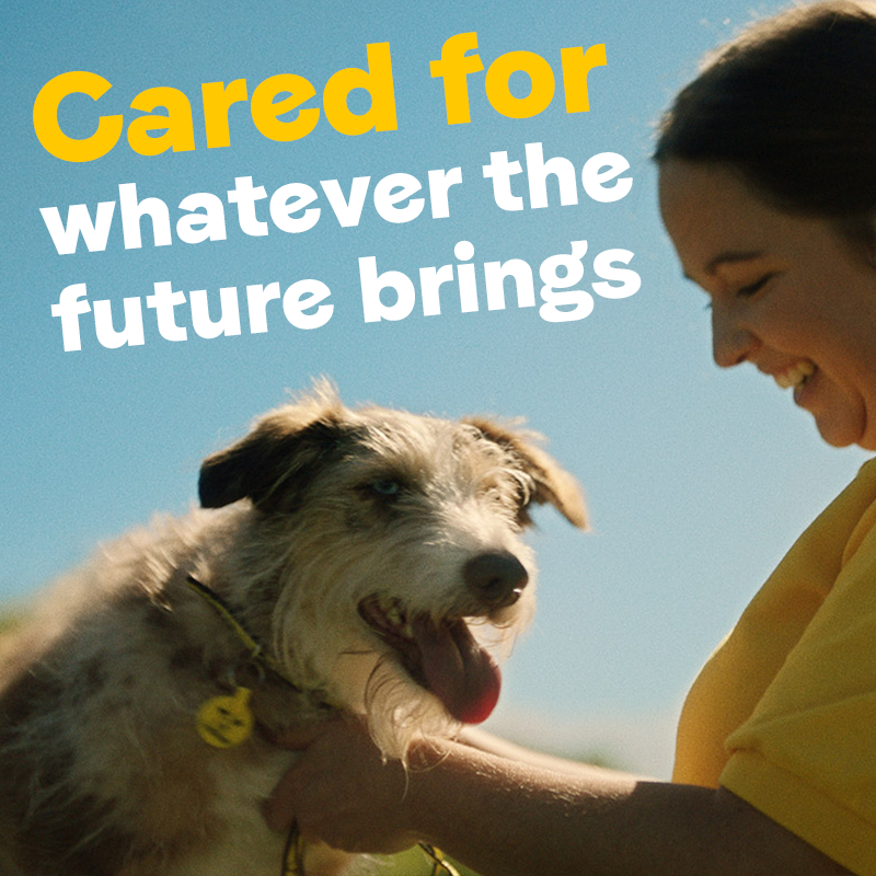 DogsTrust's tweet photo. Life is busy. Houses. Cars. Kids. But we mustn't forget our dogs. By signing up to our free Canine Care Card, should something happen to you, we'll give them all the love and care they deserve.
