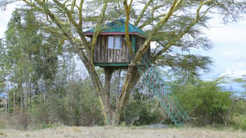 goldfishpr's tweet photo. #Sankok's #tiktok marketing ploy for his 28 acre hotel gone awry.
It appears aimed at 'trapping' a helpless woman in an enclosure from which she has little choice and power over her movements and freedom.
This way, the man wins-can do all!
#dennisItumbi #annekiguta https://t.co/6CNwJyDr4u
