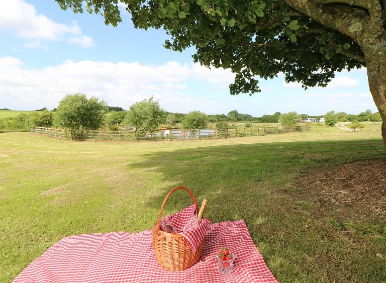 Enjoy a sunny picnic when staying at Beech Cottage at Vose Farm in Cornwall. The cottage is perfect for a sunny getaway.
🛏Sleeps 1-2
theholidaycottages.co.uk/cornwall/14907
#summerholiday #selfcatering #holidaycottage #visitcornwall #travel #getaway #romanticgetaway #picnic #countryside