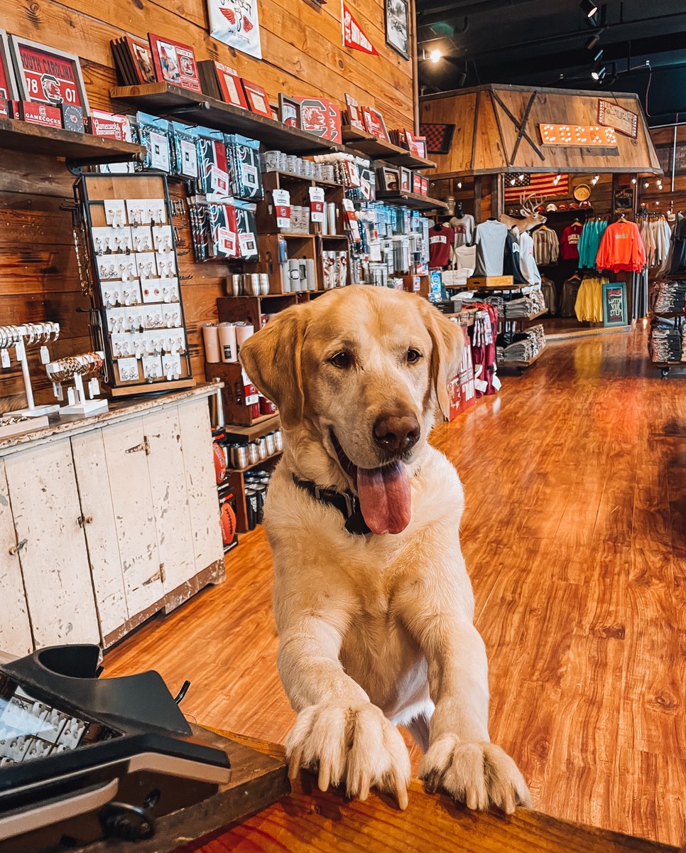 "Excuse me ma'am, I'm ready to checkout!" #ShopBarefoot #GoCocks #UofSC