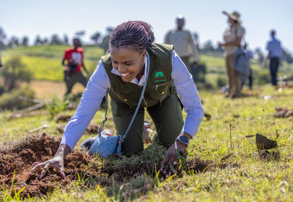 FirstLadyKenya's tweet image. First Lady @MamaRachelRuto today joined learners and members of the local community in Kaptagat for a tree planting exercise at Kaptagat Forest in Elgeyo Marakwet County.