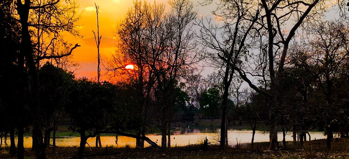 Jai Sharma tweet media