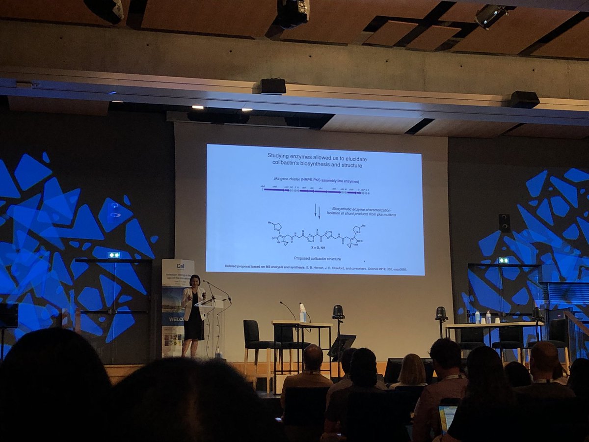 Sophie Tronnet tweet media