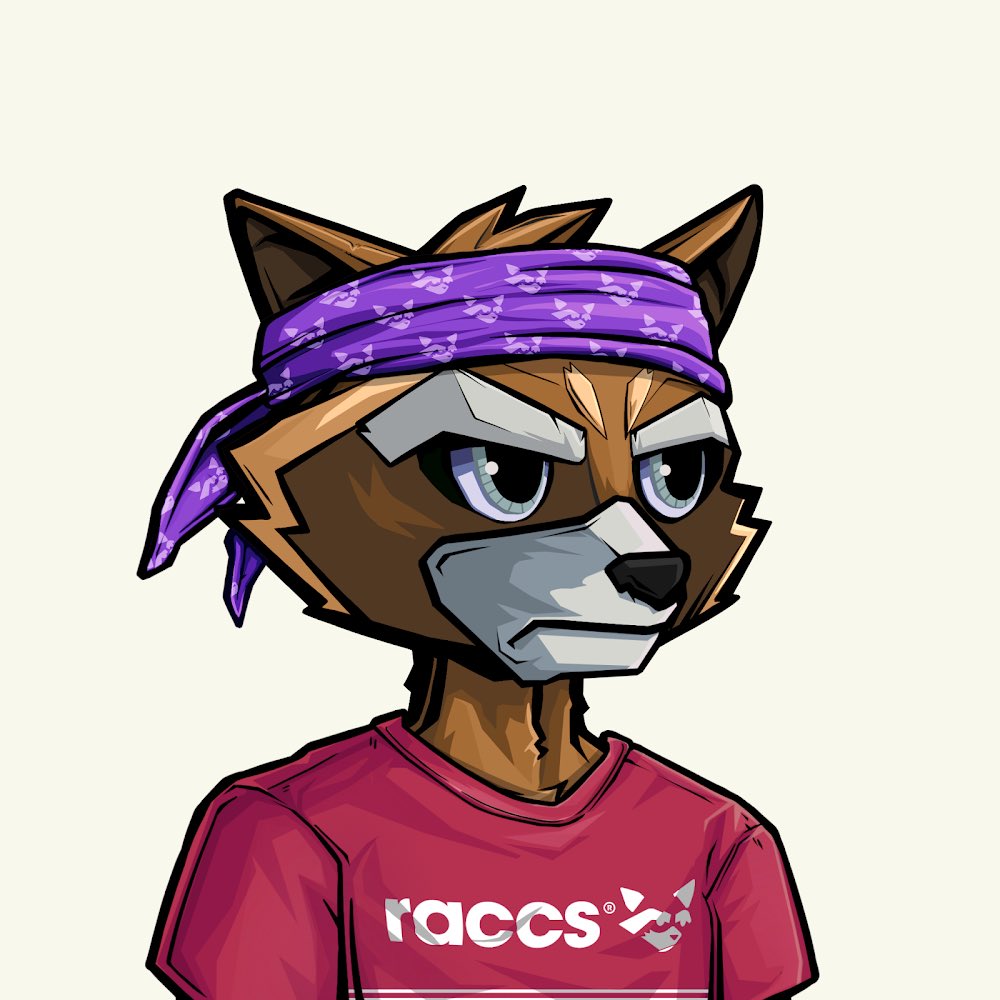 Thankful to support <a href="/NewDumbMoney/">🆕🤡💵</a> &amp; <a href="/RaccsNFT/">raccs</a> I’ve been told this is only the beginning 👀🔥