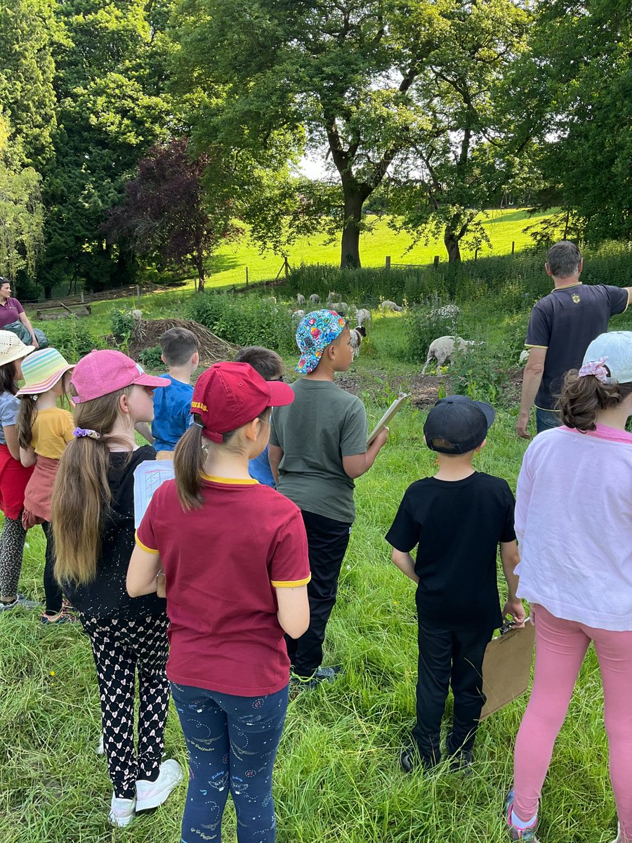 It was 4EH's turn to end a wonderful week of Geographical field trips to Haye Farm today.😍 #fieldtofork #fieldwork #futurefarmers