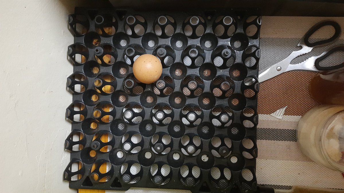 The oppressors vs the oppressed