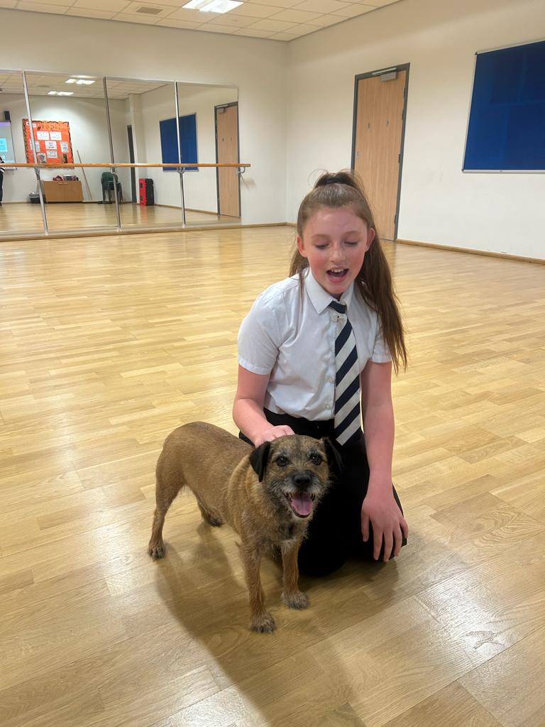 Introducing our Sandy! Today, Merlin joined our Annie's for a rehearsal of Tomorrow⭐️🐕