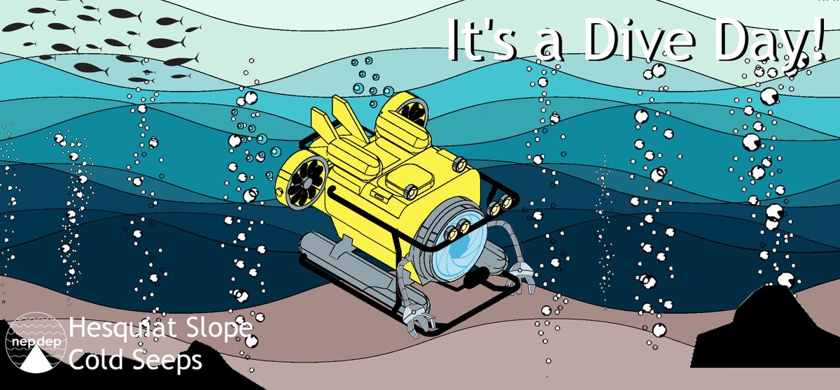 nepdep_'s tweet photo. Good morning deep-sea explorers,
I don’t know how we’re here already, but today is our last #NEPDEP dive day! Drum roll… we’re diving cold seeps! We’re offshore of Hesquiat Habour, over 1600 m of water, descending to flares &amp; features.

Live @ https://t.co/jU4Df0dOt9 https://t.co/AkGsmZlTLO