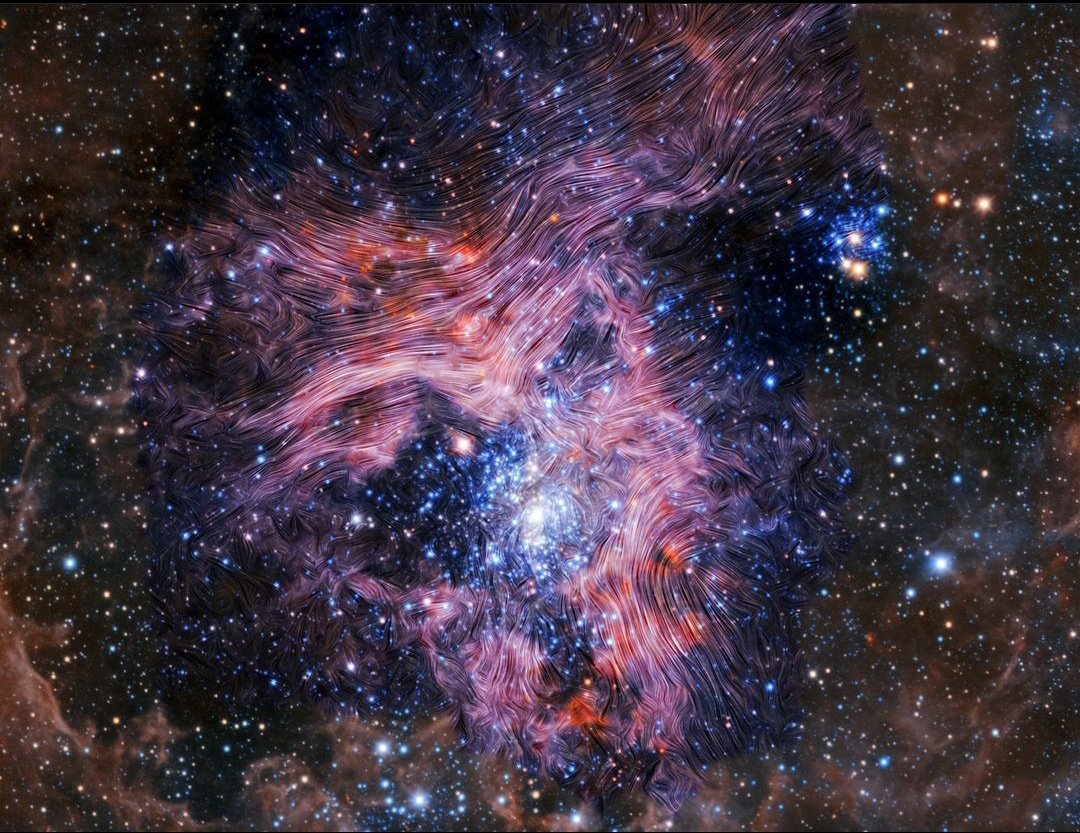 The wavy lines superimposed in this image shows the magnetic fields swirling within the Tarantula Nebula. | Credit: ESO