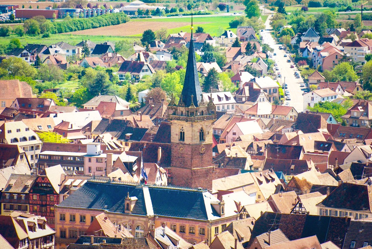 #Obernai : à découvrir absolument cet été le long de la #RouteDesVins d'Alsace ! 🤩
En savoir plus sur le blog > mon-grand-est.fr/obernai-alsace/
.
.
.
#VisitObernai #JeRedecouvreLaFrance #visitalsace #frenchmoments #EnFranceAussi #MagnifiqueFrance #toutelalsace #ExploreFrance