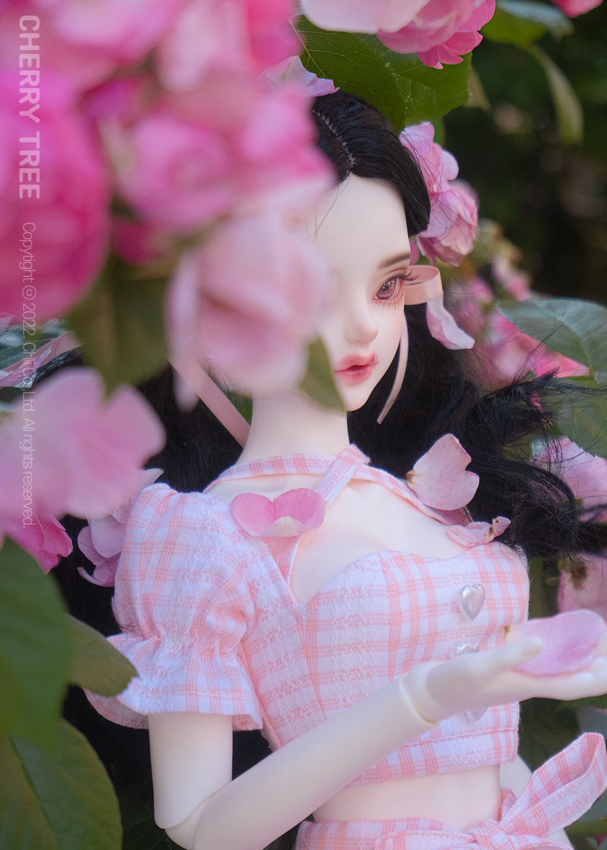 Cherry_BJD's tweet photo. 🌺연이현 https://t.co/wCEOhTi4ig