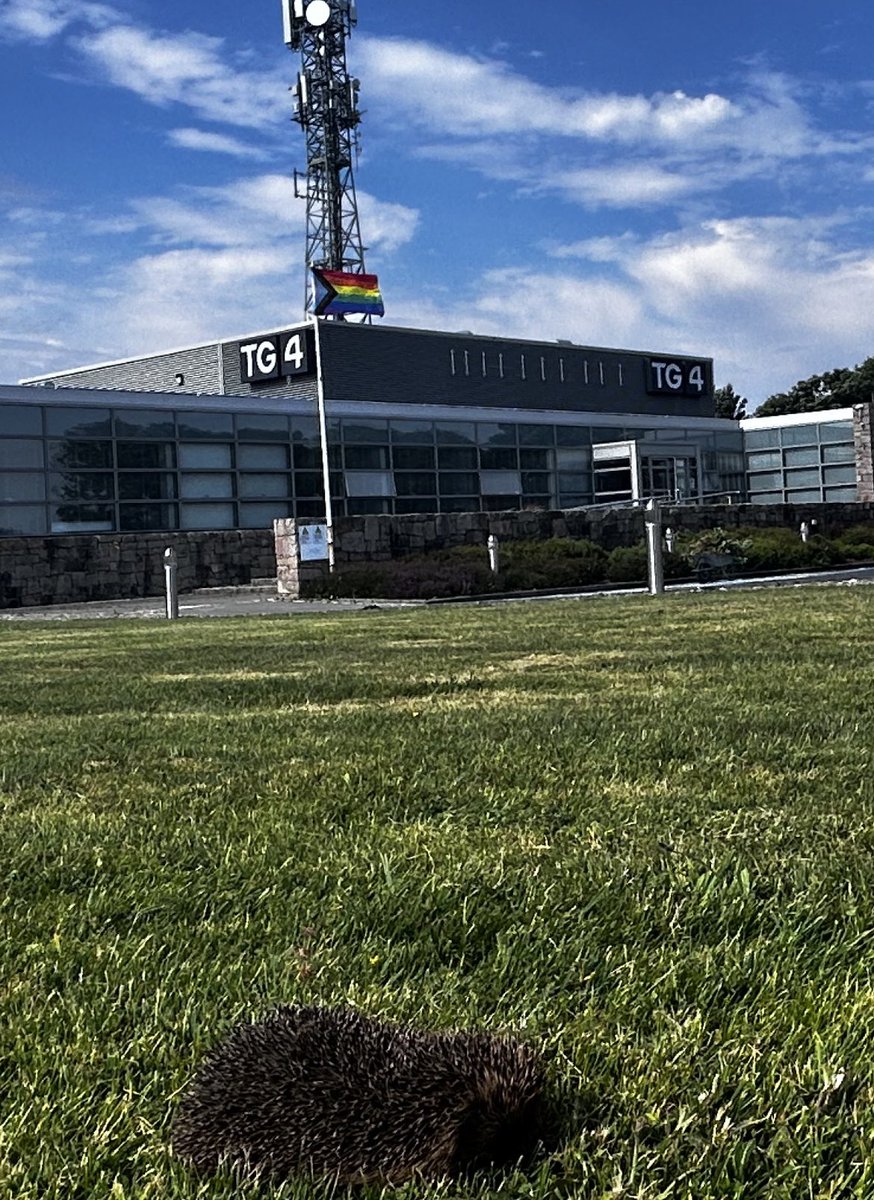 TG4 tweet media