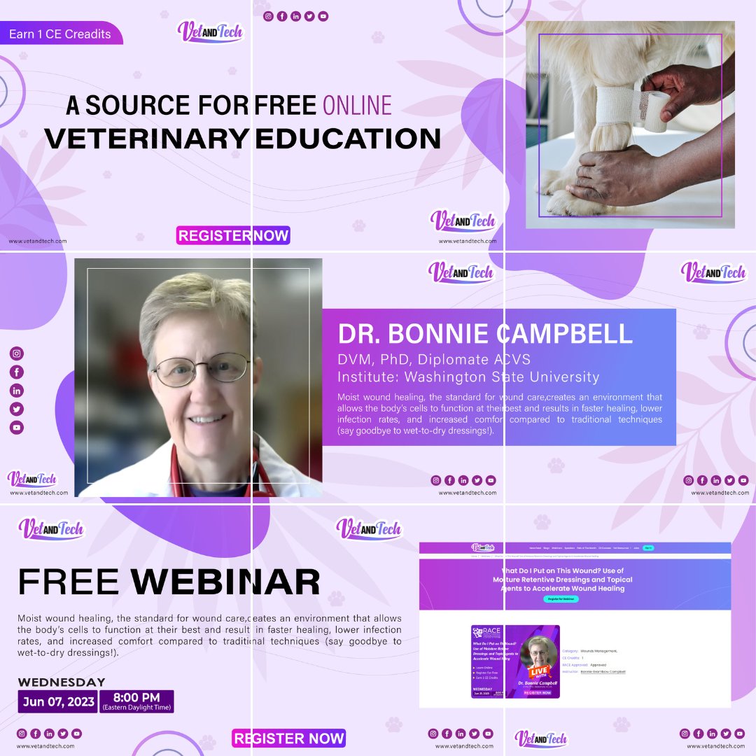 Get your chance to learn from one of the most experienced soft tissue surgery specialists, Dr. Bonnie Grambow Campbell!

Don't miss out. Register today! bit.ly/3Nh3nBE

#ContinuingEducation #VetMed #WoundCare #WebinarAlert #VetStudents #VeterinaryProfessionals