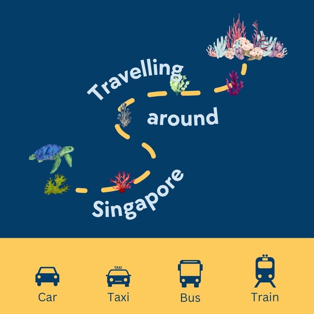 apcrs2023's tweet photo. Are you gearing up for Singapore? Local public transportation is easy and convenient. Here's our quick guide to travelling around Singapore and more details here:
https://t.co/Cdtf0OBTOB

#APCRS2023 #CoralReefs #Singapore https://t.co/ORTT2GZUcU