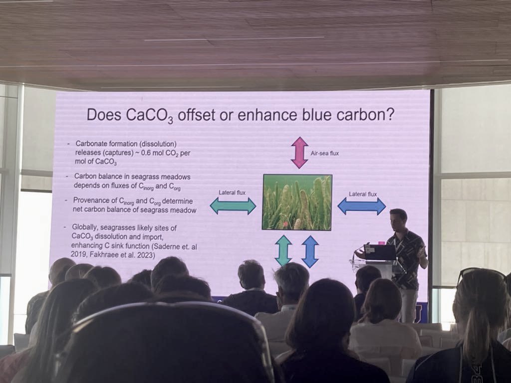 It was great to present at the #ASLO2023 session on challenges and advances in blue carbon science. Inspiring talks by <a href="/MazarrasaInes/">Inés Mazarrasa</a> <a href="/martin_dahl_/">Martin Dahl</a> <a href="/Carmen_Leiva_/">Carmen Leiva-Dueñas 𓆉</a> <a href="/cbdelosantos/">Carmen Santos</a> <a href="/Mechovone/">Dr. Dimos Traganos</a> and others! Already looking forward to the next one <a href="/aslo_org/">ASLO</a>