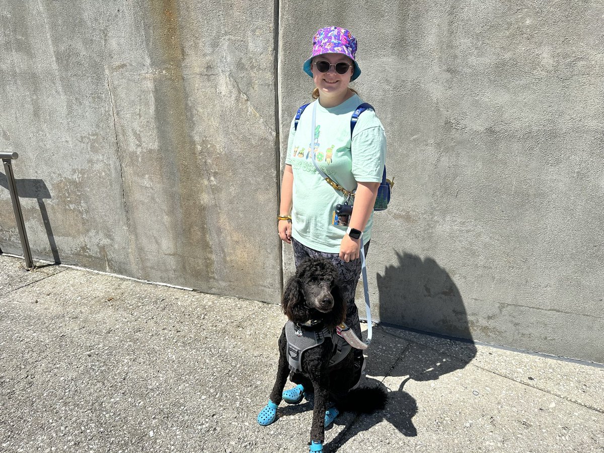 arithesd's tweet photo. Having fun today with my bestest girl. @AriTheSD #AriWearsCrocs #WagWear #ServiceDog #GoldenDoodle https://t.co/8Ongh11osw